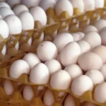 iPhone 17 Pro Max Specifications: Apple’s Most Powerful and Advanced Smartphone Yet