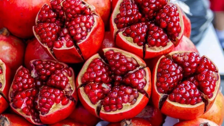 Pomegranate Side Effects