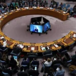 People Who Should Avoid Eating Pomegranates | Side Effects & Health Risks