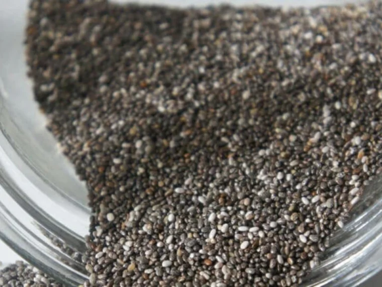 Chia Seeds Benefits