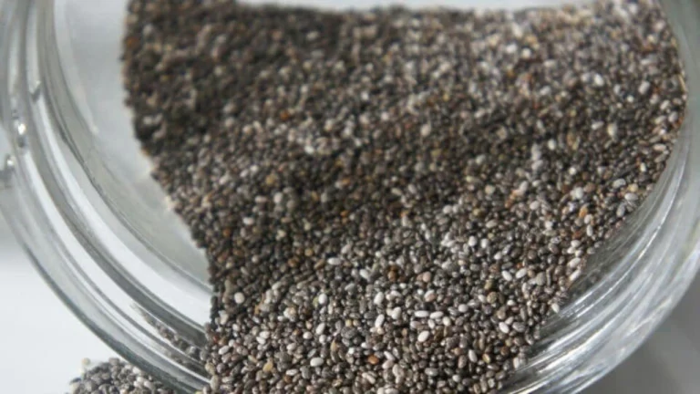 Chia Seeds Benefits