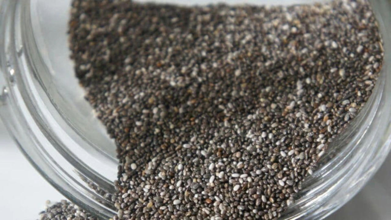 Chia Seeds Benefits