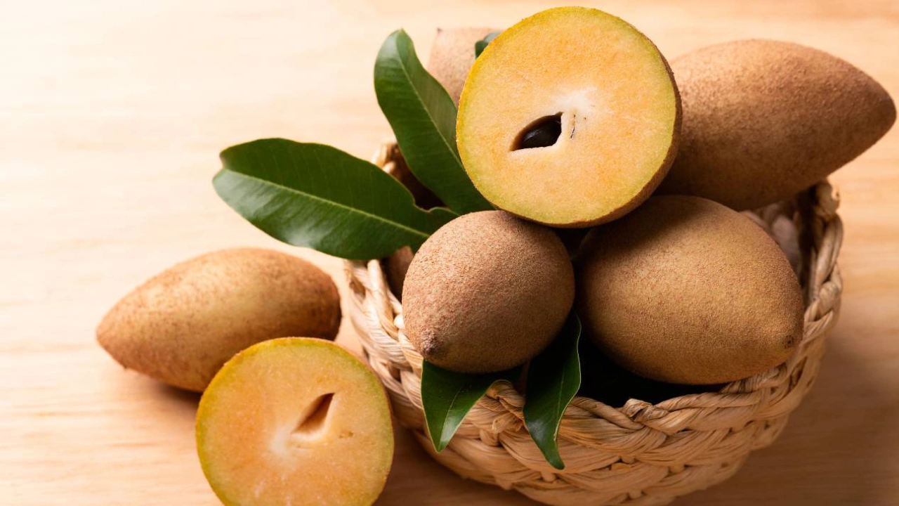 Chiku health benefits