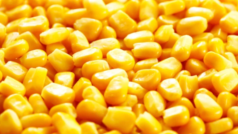 Corn Breakfast Recipes