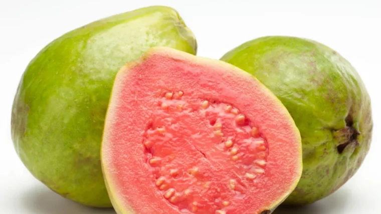 Guava Benefits