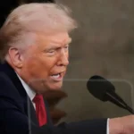 Best Direction to Keep Money Plant at Home for Wealth and Prosperity