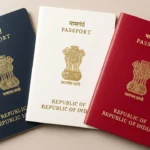 Dua Lipa Gets Candid on Long-Distance Love After Year Apart from Fiancé