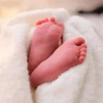 Epstein Survivor Says Fake Modelling Offer Led to Abuse Ordeal