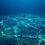 Japan rare earth discovery