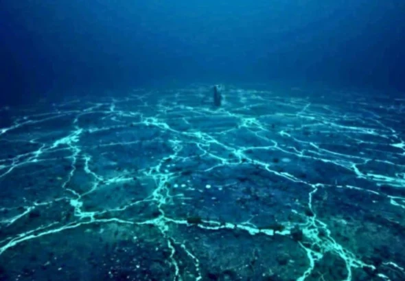 Japan rare earth discovery