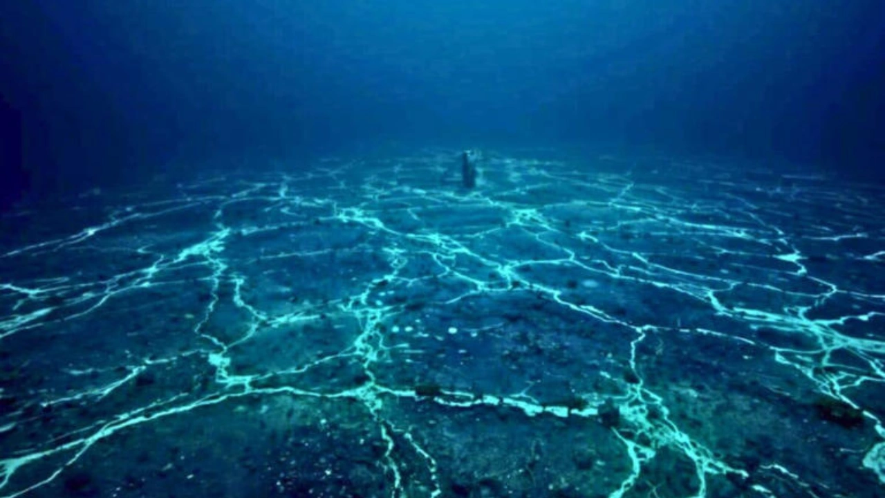 Japan rare earth discovery