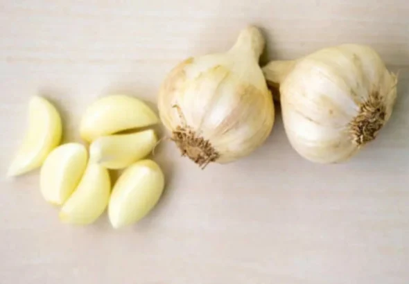 raw garlic benefits