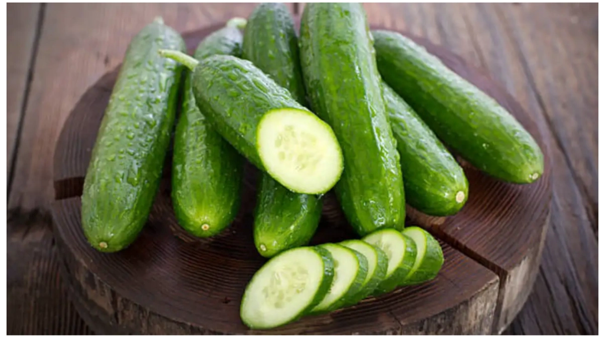 Hidden Dangers of Cucumbers