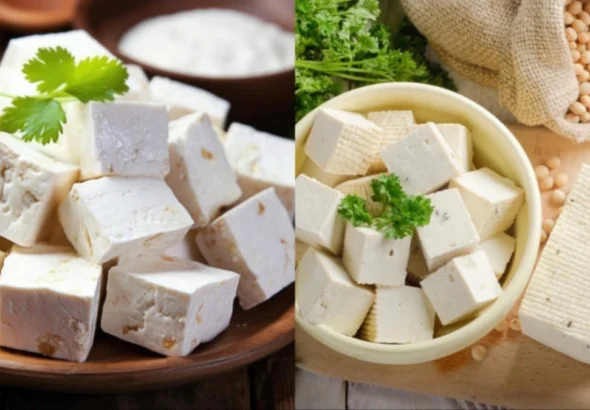 Paneer Protein