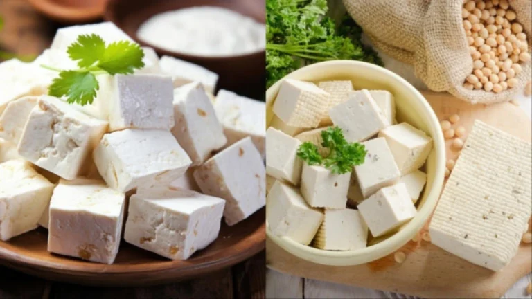Paneer Protein